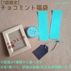 作品【7袋限定】チョコミント福袋【送料込み】