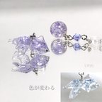 作品色めく金魚ピアス/イヤリング