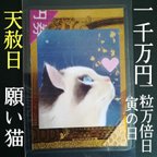 作品【✨1点物✨】にゃんこ 招き猫  猫 白蛇 抜け殻 白梟 御守り 春