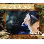 作品極北の生命 カレンダー/Calendar 2023 by kei Ito Photography 〈月曜日と金曜日に随時発送〉