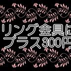 作品【金具変更】イアリング金具に変更