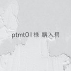 作品ptmt01様 購入用