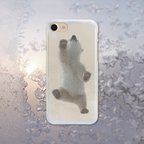 作品【人気商品】Baby Polar Bear  クリアソフト ケース   [ iPhone5～iPhone15/ 15 Plus/ 15 Pro/ 15Pro Max & Samsung ]クリスマス