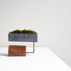 作品cement-lumber-moss-vase 14