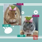 作品うさぎ用🐰桜餅