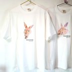 作品◆初回・現品限定特価◆XLサイズ【オーガニックコットンTシャツ】うさぎ好き　子うさぎ　プリントTシャツ　　男女兼用