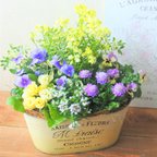 作品❁yellow＆purple　可愛いお花の寄せ植え　贈り物にも