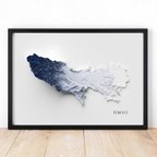 作品東京都/TOKYO  立体的に見えるポスター/Topographic Map Poster　A3 B3