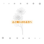 作品【⚠︎ご購入される方へ】必ずお読みください。