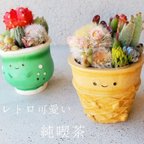 作品🆕純喫茶🍦 レトロ可愛いソフトクリーム🍦の寄せ植え