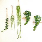 作品【C】ハンギング3点セット(グリーンビーン・シュガーバイン・グリーンネックレス)左の3個　フェイクグリーン　壁掛け　お得なセット　ハンギングプランツ　観葉植物