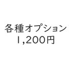 作品各種ｵﾌﾟｼｮﾝ１２００円