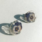 作品viola earring