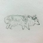 作品犬絵2枚セット