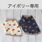 作品くまさんＴシャツ(アイボリー)