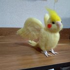 作品羽ばたきオカメインコ