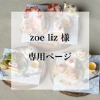 作品zoe liz様専用ページ