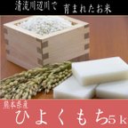 作品令和4年産新米　餅米　ヒヨクモチ5ｋg　熊本県相良村産　精白米