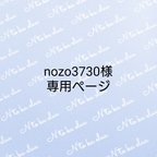 作品nozo3730様専用ページ