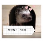 作品受付Ｎｏ．10様専用ページです✨