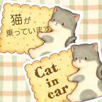 作品Cat in carステッカー | どうぶつビスケット　ねこ【ぶち（灰白）】