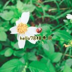 作品hello78様専用ページ☆*:.｡. 