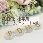 作品AKMTR 様専用