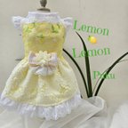 作品Lemon 🍋 Lemon ワンピース「オーダー」