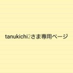 作品tanukichi2さま専用ページ