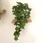 作品棚に飾れるアイビー(シルバー）フェイクグリーン　1個　観葉植物