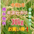 作品お買い得❗【低農薬栽培】 令和5年度 和歌山県産 新米キヌヒカリ100% 玄米30kg(総重量)