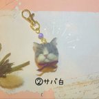 作品羊毛　猫のキーホルダー（サバ白）