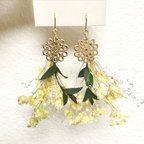 作品春の黄色いかすみ草ピアス