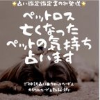 作品ペットロス＆亡くなったペットの気持ち占います★占い鑑定書送付★巫女ご神託占い★霊感＆タロットカード＆オラクルカード＆＆数秘術★