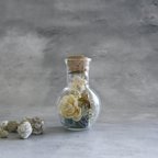 作品「Ma-ru / Transparency」 Botanical bottle