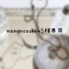 作品mamenosuke45様専用ページ