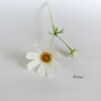 作品枯れない癒しの花✿クレイフラワーNO.K8−1（2）