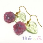 作品梅雨の花ピアス