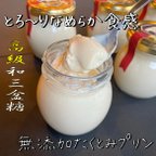 作品プリンの概念を覆す！究極のこだわりプリン 無添加　6個セット【冷蔵