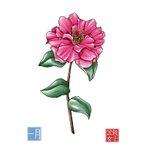 作品Camellia art, postcard size. January's Flower - 椿のアートはがき、１月の花