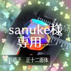 作品sanuke様専用