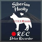 作品わんちゃんのかわいいドラレコステッカー　『DRIVE　RECORDER』