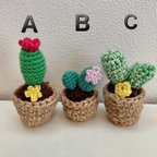 作品水のいらない毛糸のサボテン🌵