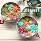 作品【送料無料】Ａ　多肉植物のアロマキャンドル　タイプＡ　蓋つき　アルミ缶入り