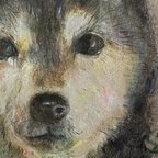 作品ペットの似顔絵【色鉛筆】イメージカラーをお聞きし、個性を引き出す絵を目指しています！