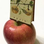 作品林檎の本『apple』