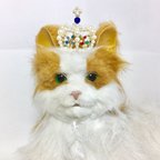 作品Sサイズ【犬猫用】なりきりクラウン　ショーケース付き☆　  ブルーキャットアイ