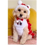 作品犬 Sサイズ サンタクロース 帽子 ♡ クリスマス  猫 ペット かぶりもの 被り物 ニット ぽんぽん 帽子 犬帽子