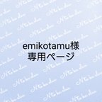 作品emikotamu様専用ページ