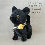 作品【感謝価格】猫の首輪☺️